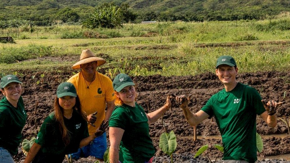 A group of people wearing green shirts and hats working together in a field, with a scenic natural background.