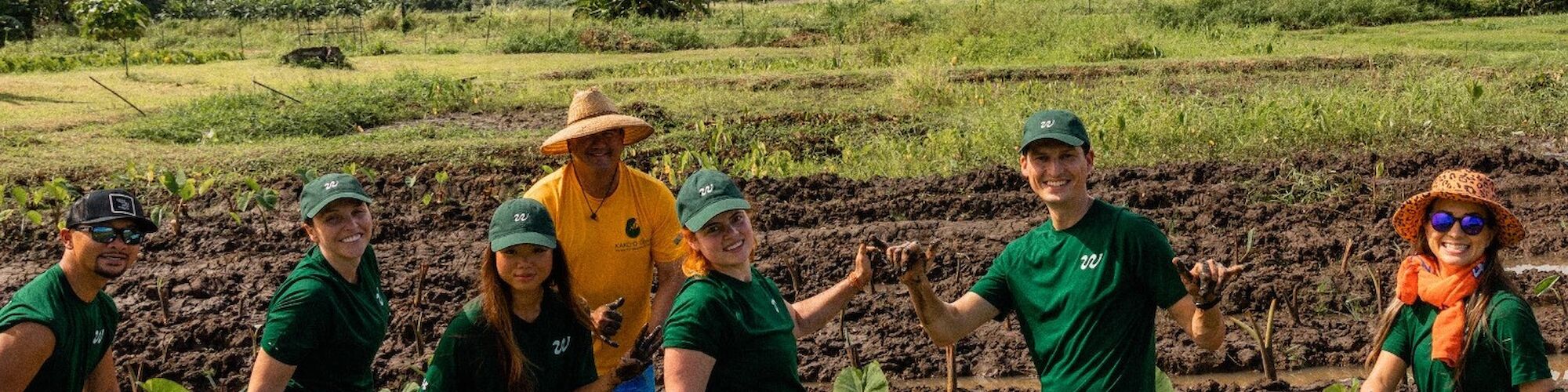 A group of people wearing green shirts and hats working together in a field, with a scenic natural background.