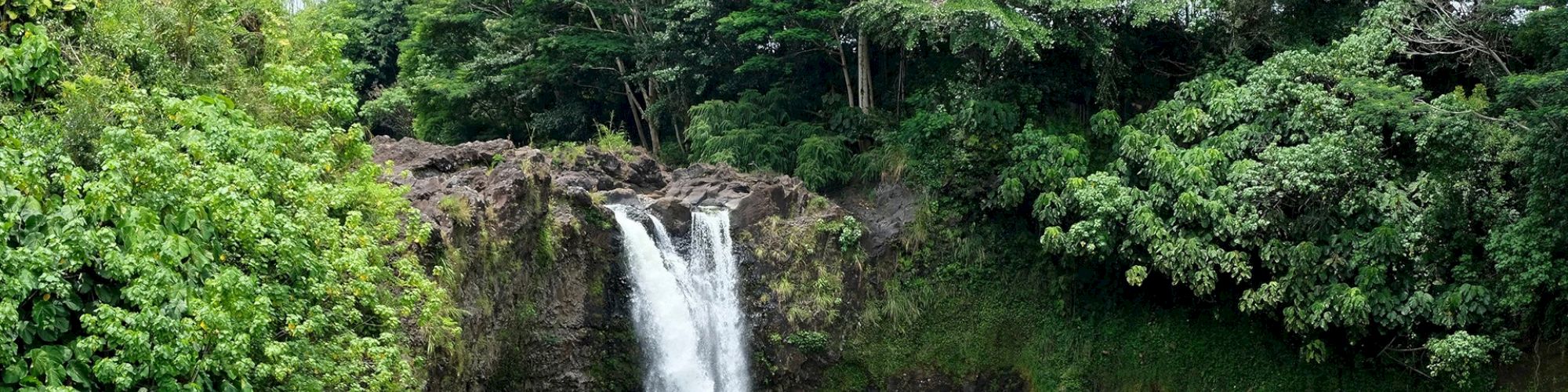 A waterfall cascades over a rocky cliff surrounded by dense, lush green forest, creating a serene and natural landscape.