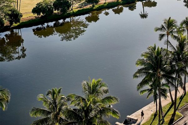 The image shows a serene riverside path lined with palm trees, with a person walking along it. Trees are reflected on the water's surface.