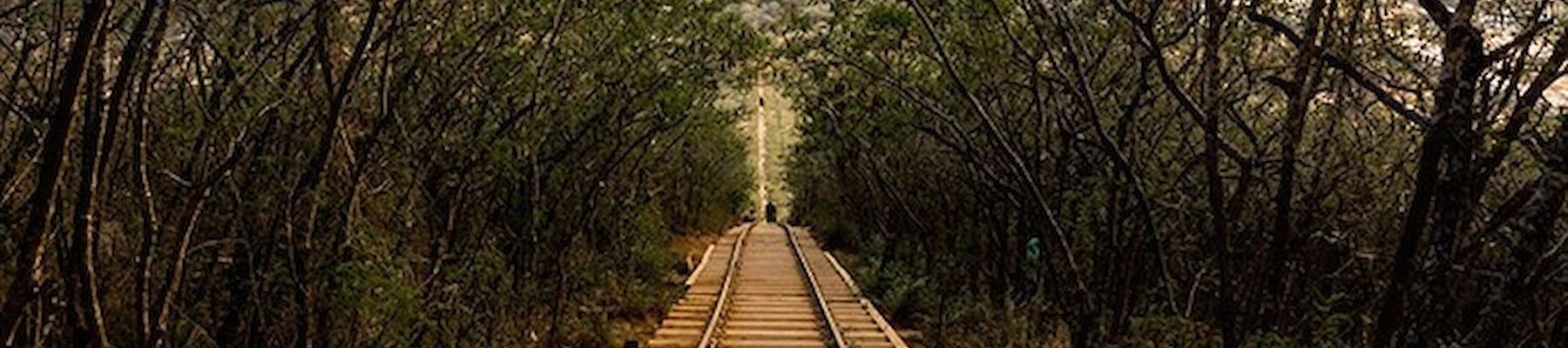 The image shows a railway track running through a forested area with trees on either side, leading downhill towards a distant town under bright sunlight.