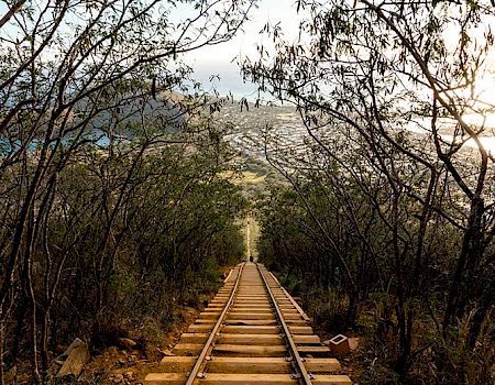 The image shows a railway track running through a forested area with trees on either side, leading downhill towards a distant town under bright sunlight.