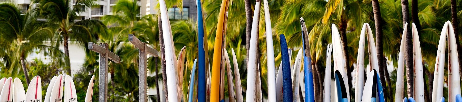 Rows of surfboards are lined up vertically in front of palm trees and a building, creating a vibrant and tropical scene.