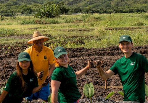 A group of people stand in a farm field holding plants, wearing green shirts and hats, with a person in a yellow shirt and straw hat.