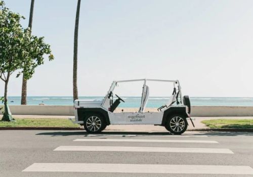 A white open-top vehicle is parked by a road with a crosswalk. In the background are palm trees, grass, and the ocean under a clear sky.