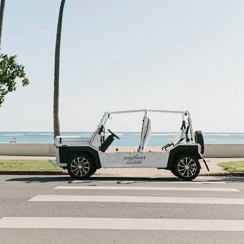 A white open-top vehicle is parked by a road with a crosswalk. In the background are palm trees, grass, and the ocean under a clear sky.