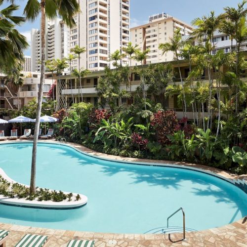 A tropical swimming pool surrounded by palm trees and lush greenery, with lounge chairs and tall buildings in the background, creating a relaxing atmosphere.