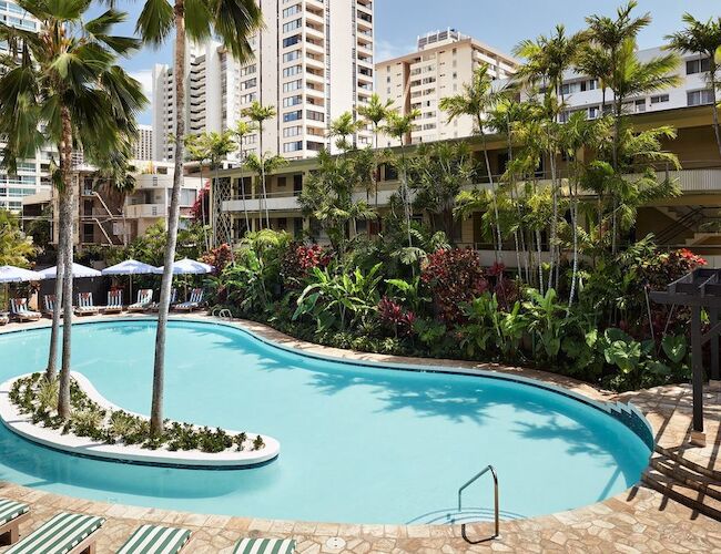 A tropical swimming pool surrounded by palm trees and lush greenery, with lounge chairs and tall buildings in the background, creating a relaxing atmosphere.