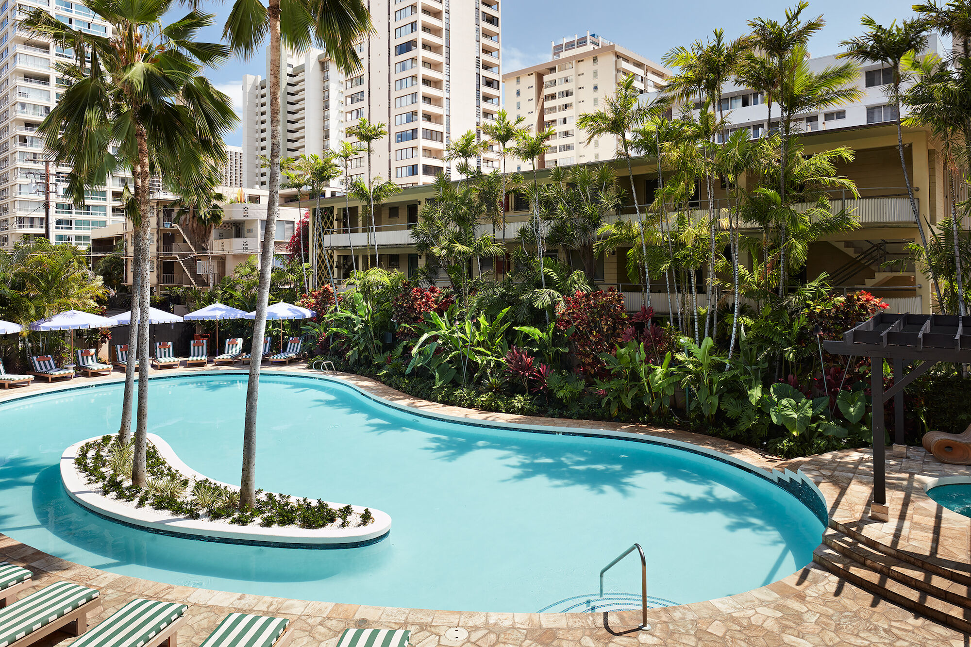 This image features a picturesque outdoor pool surrounded by palm trees and lush greenery, with tall buildings in the background.