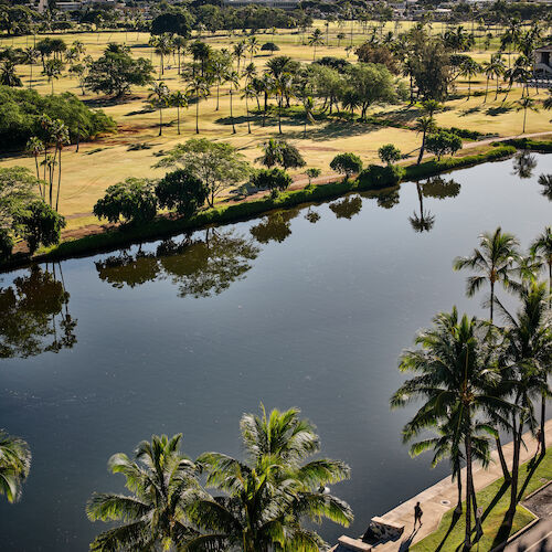 An aerial view of a serene landscape with a river, lush greenery, and palm trees, set against a backdrop of hills and a partly cloudy sky.