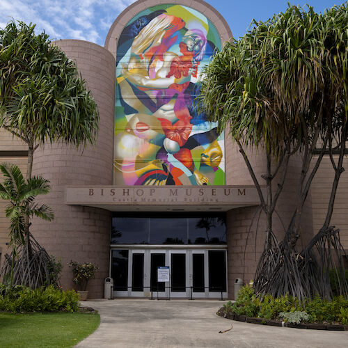 A building entrance with a colorful mural above the doors, surrounded by palm trees and greenery under a partly cloudy sky.