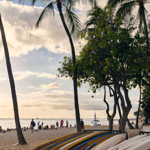 A beach scene with surfboards, palm trees, and people in the distance, enjoying the sunset by the ocean.