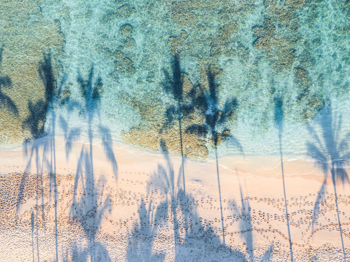 This image shows an aerial view of a beach with clear waters, light sandy shore, and shadows of tall palm trees cast on the sand.