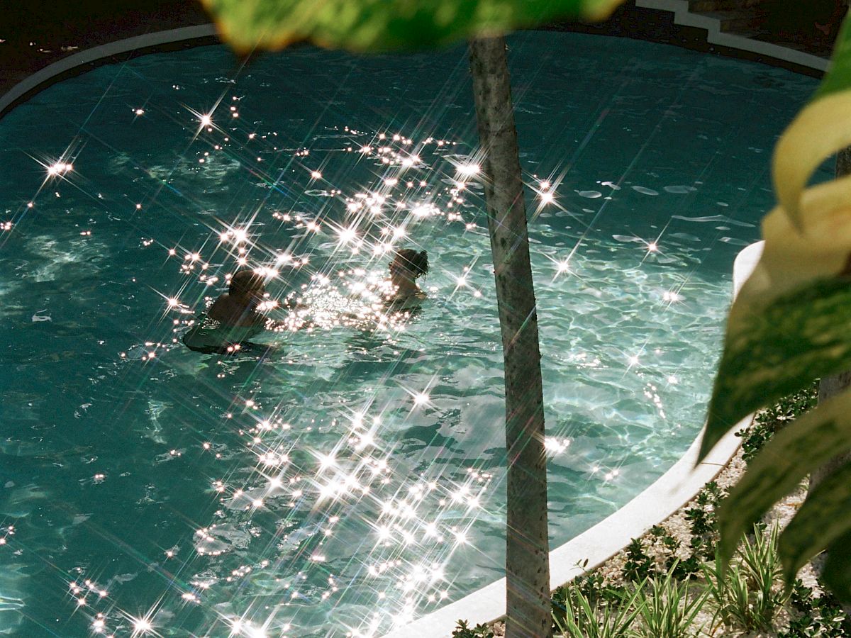 Une sc&egrave;ne ensoleill&eacute;e avec une piscine aux bords blancs incurv&eacute;s, un palmier et des reflets scintillants dans l'eau.