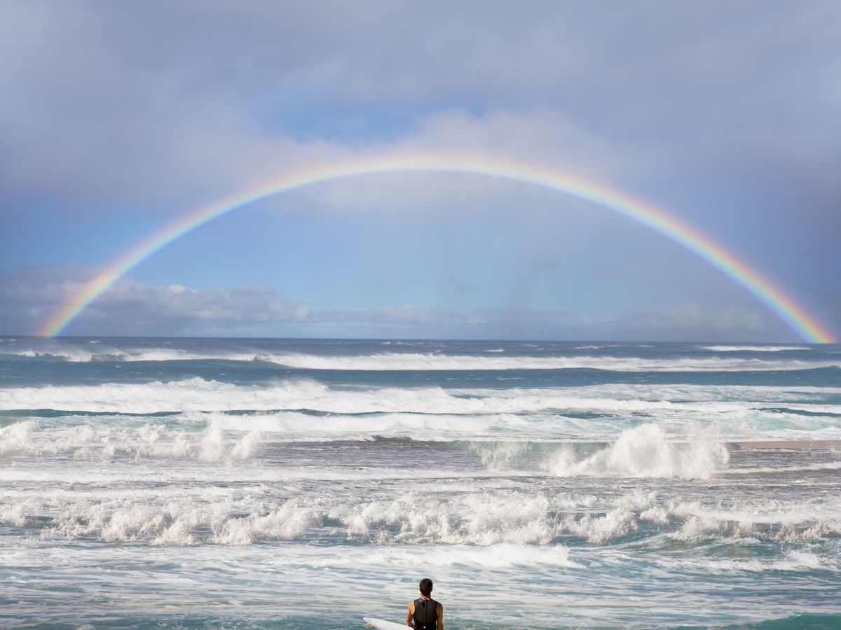 Wayfinder Waikiki