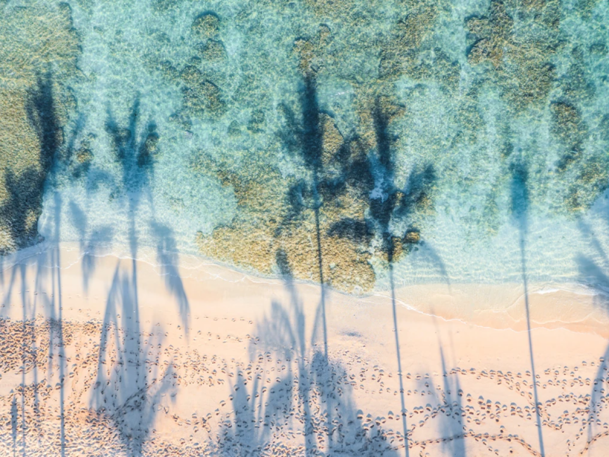 Shadows of palm trees stretch across a sandy beach with clear turquoise water, creating a tranquil and tropical scene.