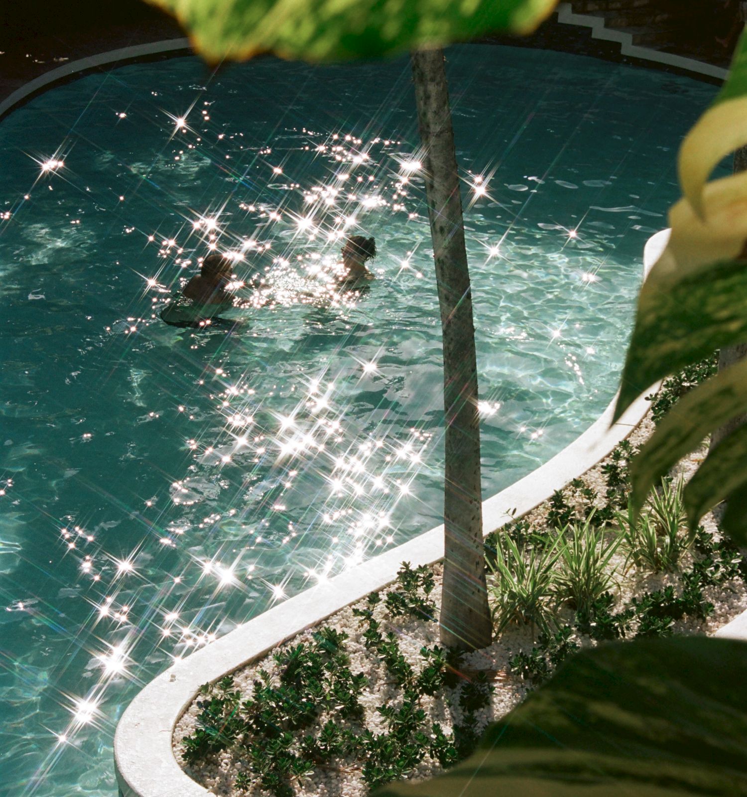 A sunlit pool with two people swimming, surrounded by plants, while sunlight reflects off the water's surface, creating a sparkling effect.