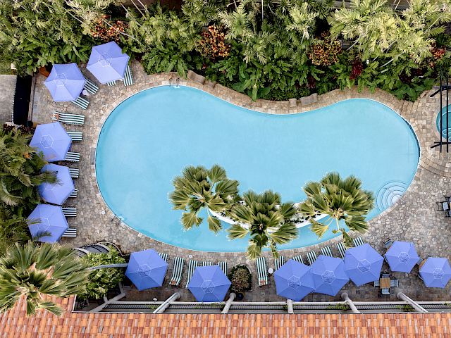 Aerial view of a bean-shaped pool surrounded by palm trees, blue umbrellas, and lounge chairs, with lush greenery around.