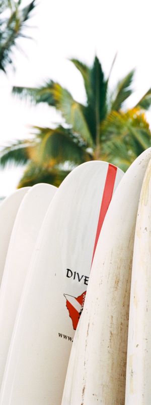 A row of surfboards stood upright on a sunny beach, their colorful fins and waxy boards leaning against each other.