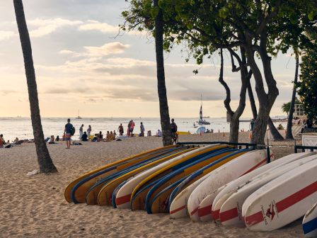 A tropical beach scene with tall palm trees, people relaxing by the shoreline, and surfboards lined up near the water.