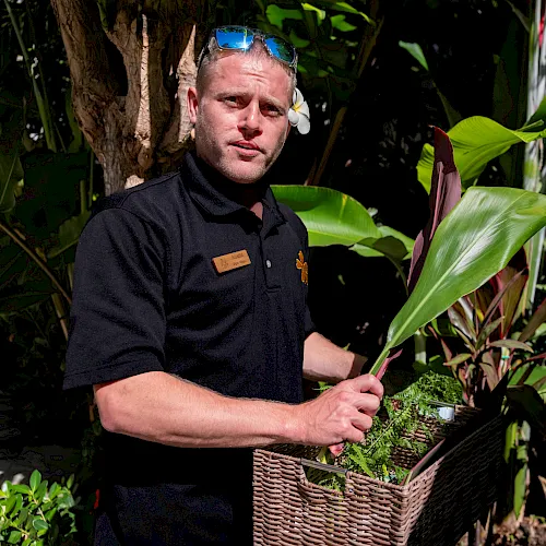 A gardener in a tropical garden holds leaves from a wicker basket while caring for plants.